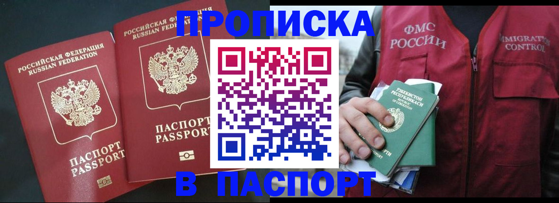 прописка 2025 в Зее